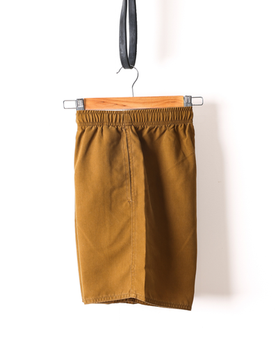 Supply Beach Short - Washed Earth