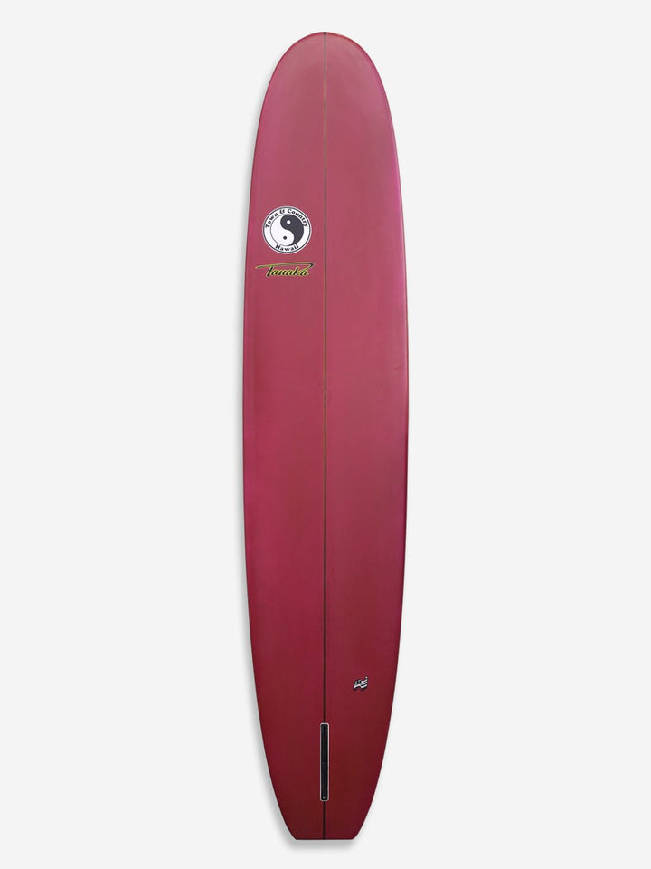 Beach Boy surfboard spray 2