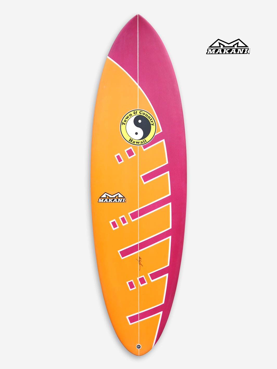 Mini Beast surfboard spray 4