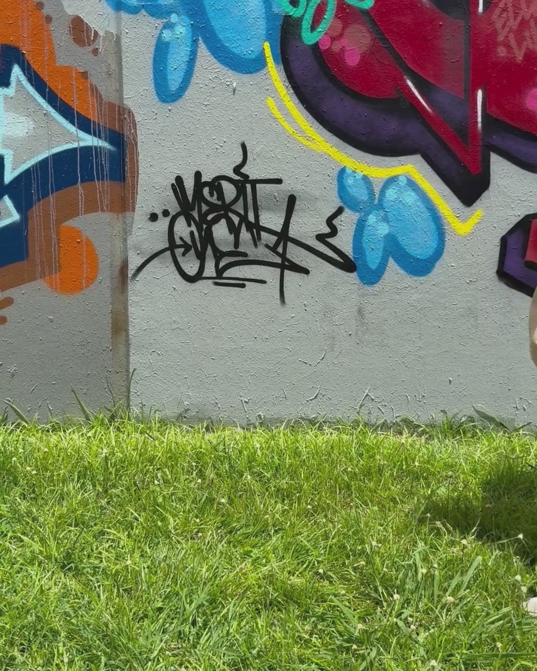Whaler 2.0 Cord Pant  - Sand