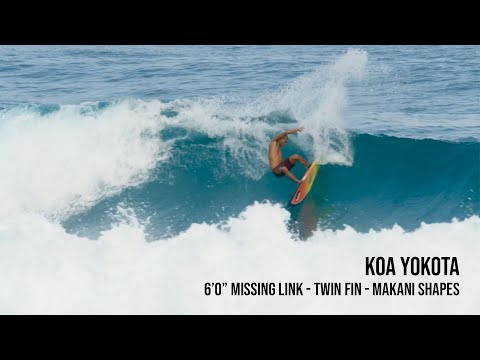Missing Link video